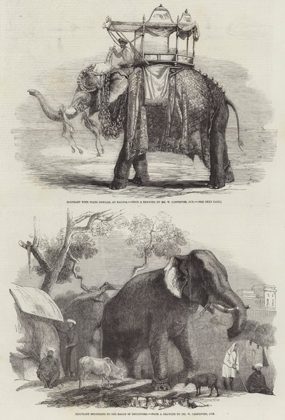Éléphants indiens - William Carpenter